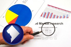washington-dc map icon and a market research study
