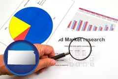 kansas map icon and a market research study