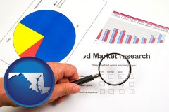 maryland map icon and a market research study