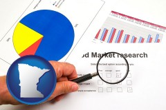 minnesota map icon and a market research study