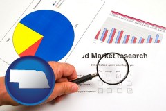 nebraska map icon and a market research study