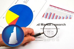 new-hampshire map icon and a market research study