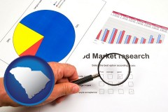 south-carolina map icon and a market research study