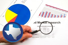 texas map icon and a market research study