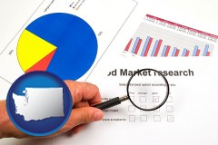 washington map icon and a market research study